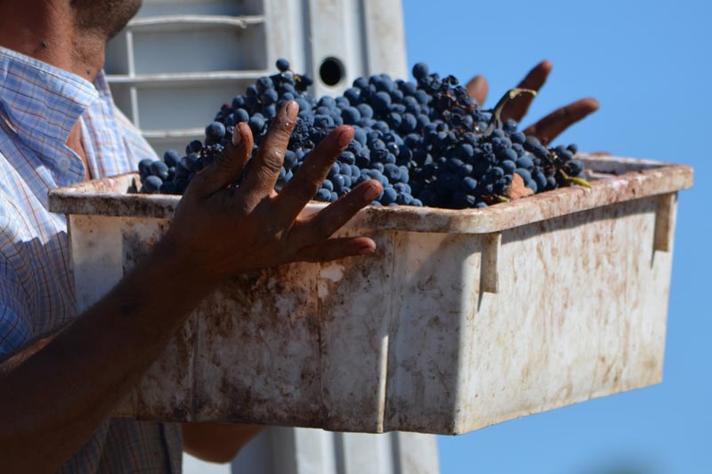 Processos manuais e em escala humana na BOWINES