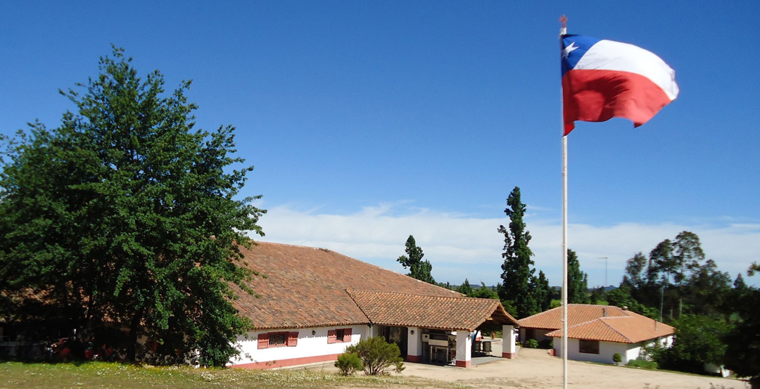 Os rótulos Erasmo são provenientes de uma das mais antigas e tradicionais zonas vitivinícolas do Chile: o Vale do Maule, mais precisamente na microrregião de Caliboro.