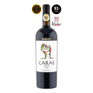Vinho Tinto Chileno BO wines Carae Carignan 2015