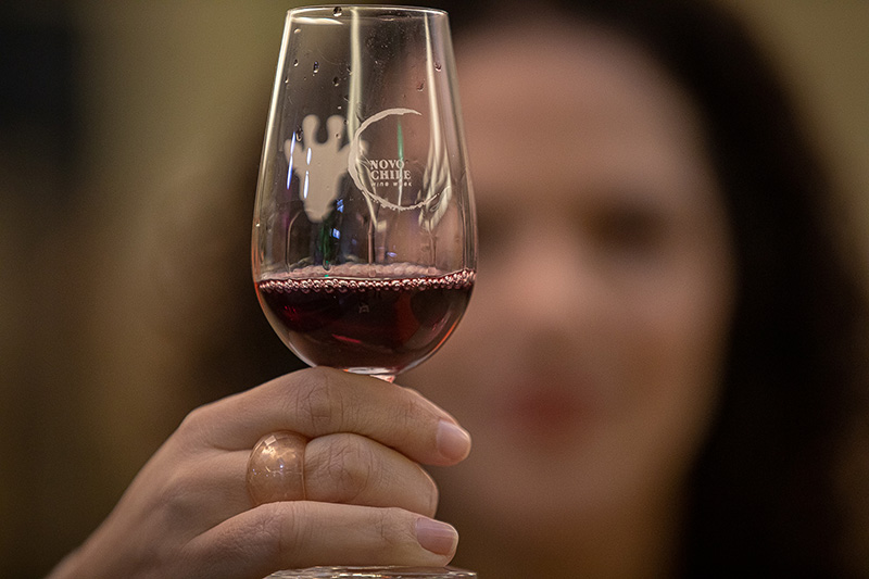 Novo Chile ON-WINE será virtual