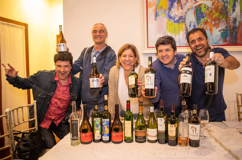 Pequenos produtores do coletivo Vinhos Novo Chile