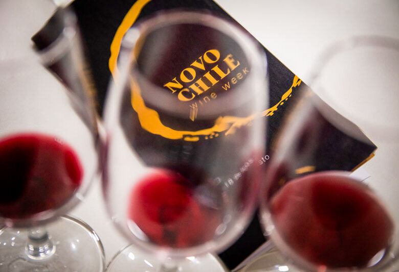 Nos cursos da Wine Academy é possível aprender sobre a nova cena enológica chilena