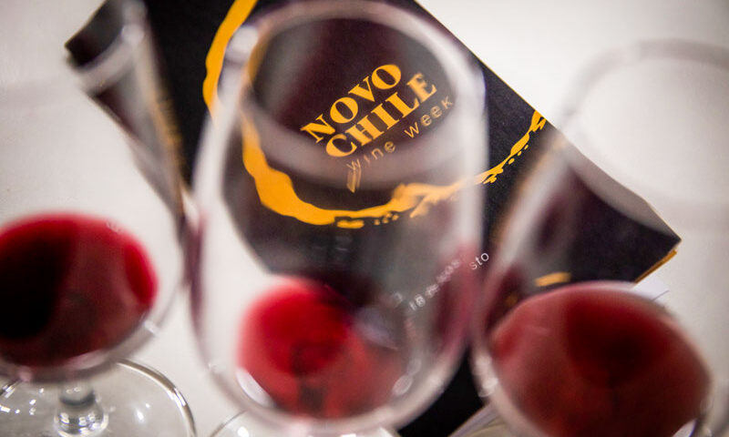 Nos cursos da Wine Academy é possível aprender sobre a nova cena enológica chilena