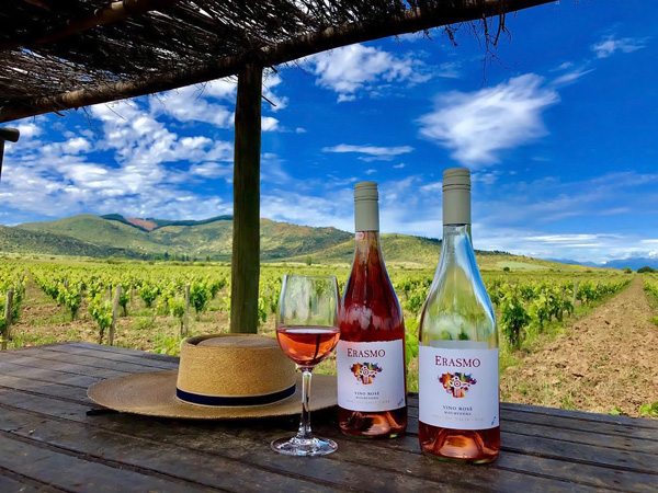 Erasmo Rosé de Mourvédre é uma boa pedida para uma tarde ensolarada de verão